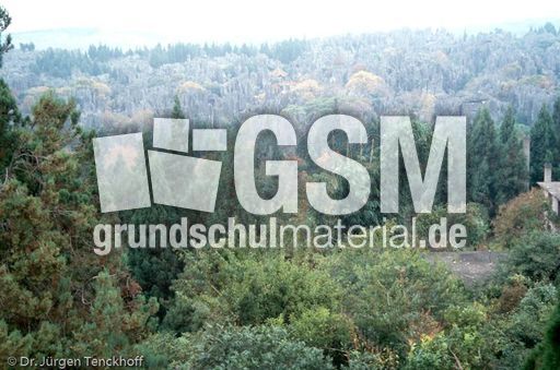 China (230 von 257).jpg